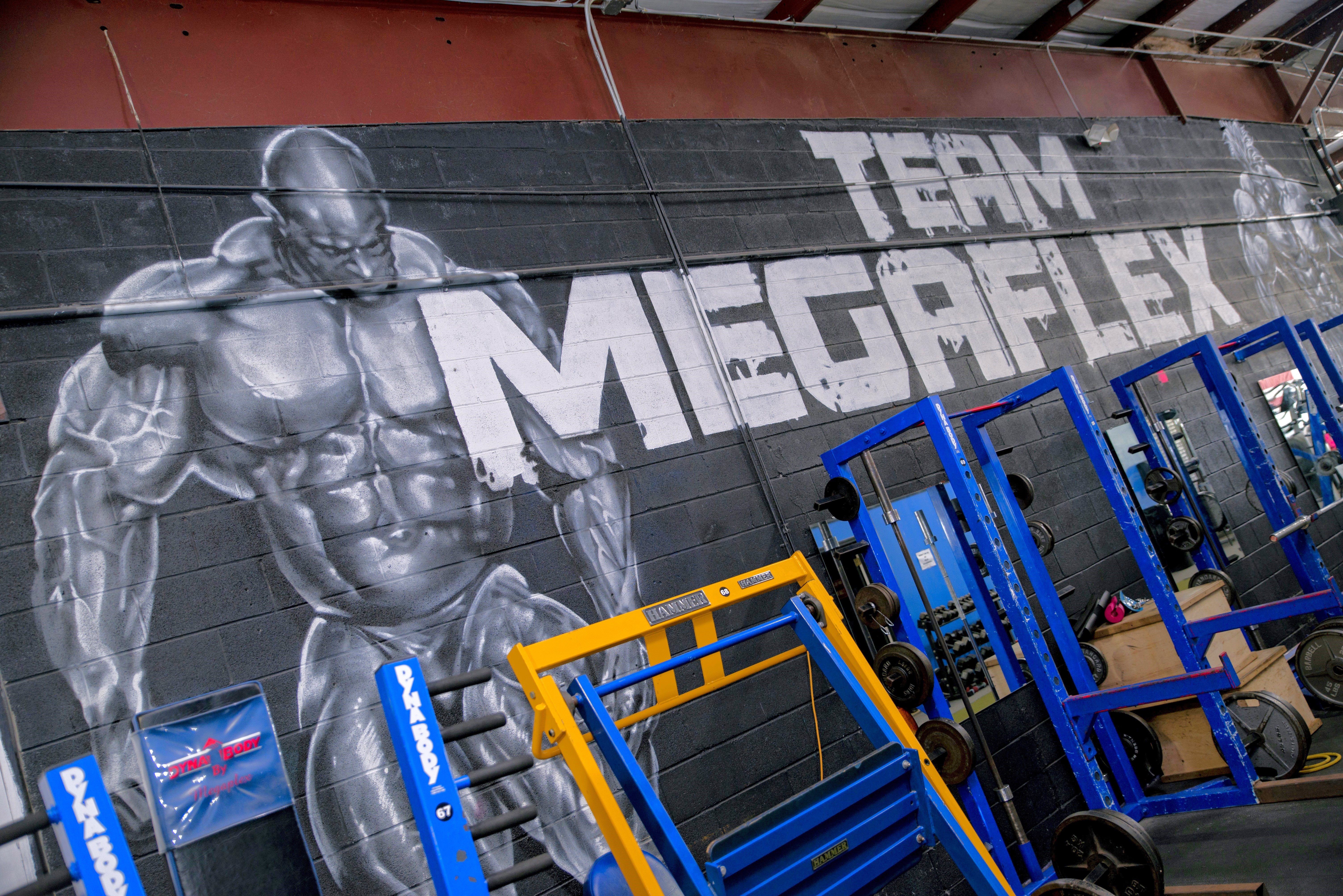 Team Megaflex Mural